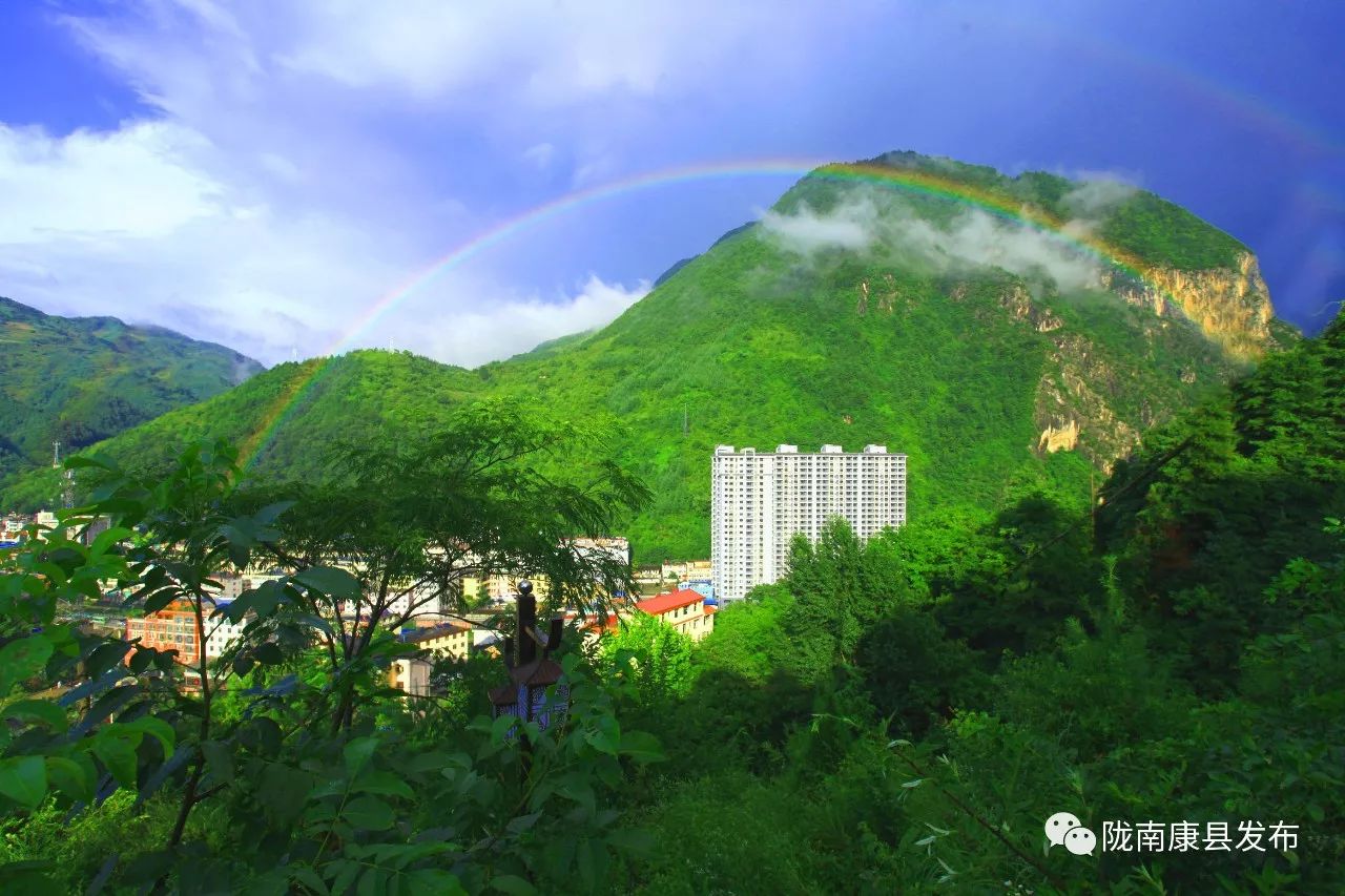 康县人口_康县茶马古道图片(2)