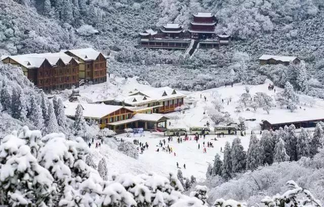 周末看雪去!重庆新春旅游季正式启动,多地下雪刷屏朋友圈