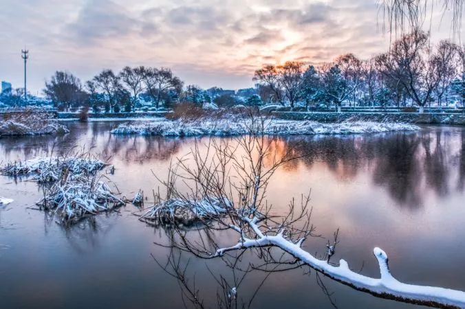 美翻啦!东海2018最美,最壮观的雪景图出炉,快来收藏吧!