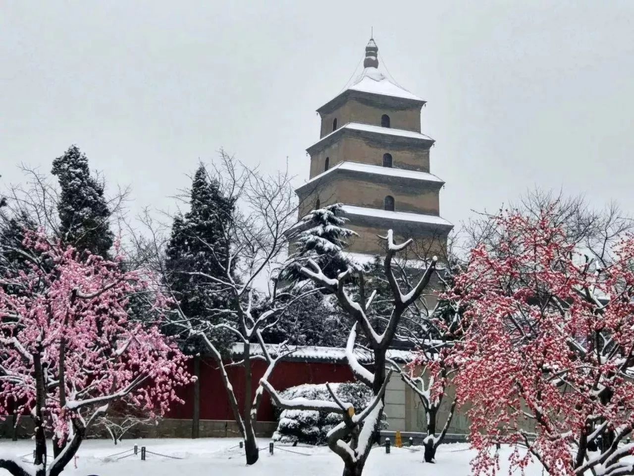 下雪天,西安哪里适合拍照?