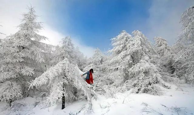 齐岳山人口_齐岳山图片(3)