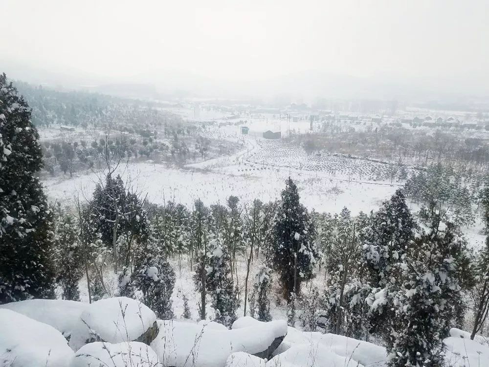 茱萸养生谷和雪的相遇接下来那么徐州最美雪景在哪呢开心得像个两百多