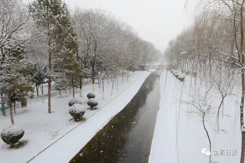 金昌的下雪天,满足了我对冬天的所有幻想!