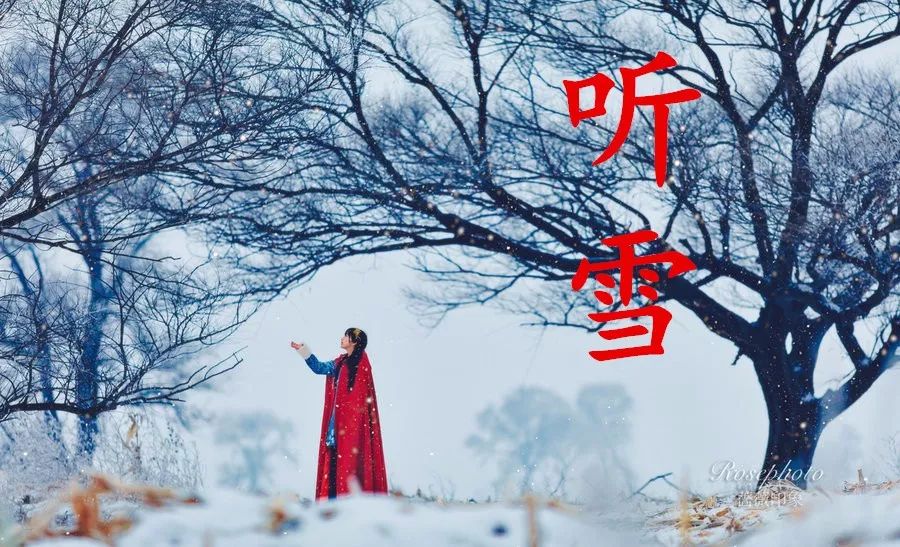 听雪,美极了!