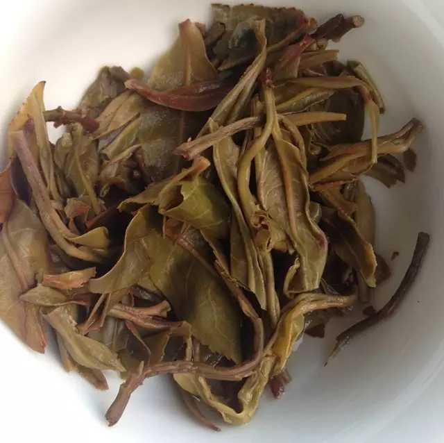 【刀哥说茶】普洱茶叶底,到底藏有多少玄机?