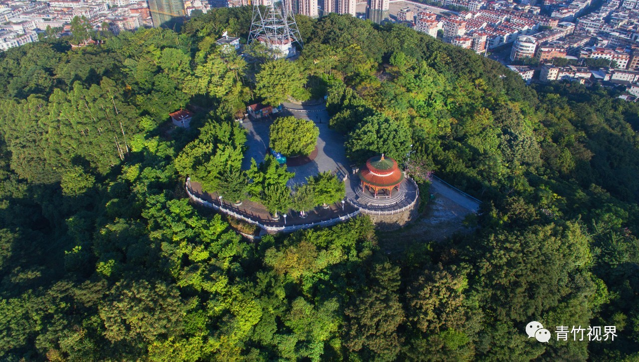 美翻了!航拍下的永春留安山森林景观,不同的视觉体验超震撼