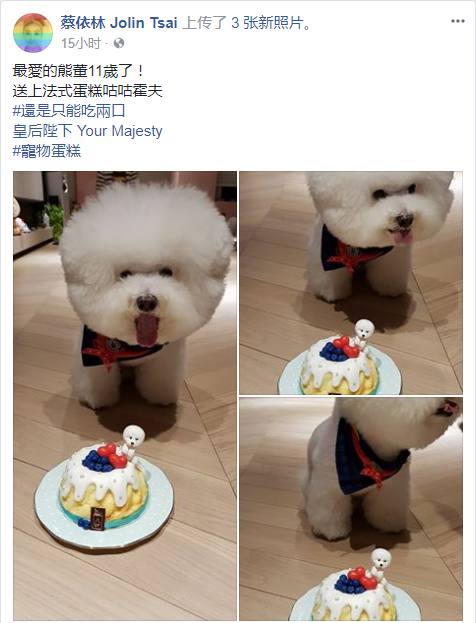 人不如狗系列之蔡依林爱犬生日虽疼爱但标明只能吃两口