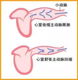 降压药为何能降压(一) 人体内影响血压的因素_