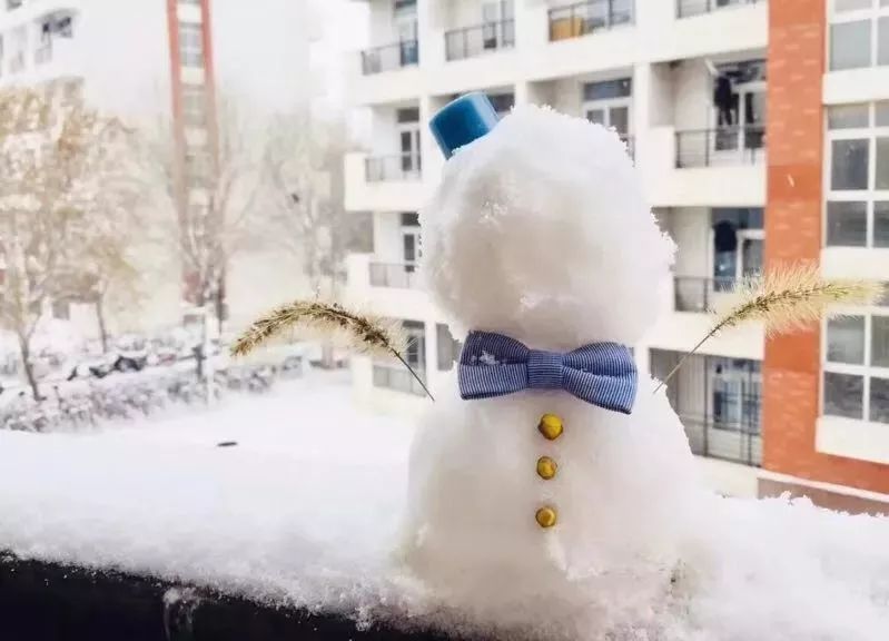 今天哪里下雪了