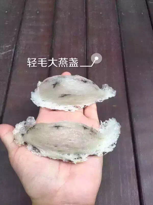 燕窝炖煮,常识,功效常见问题解答汇总