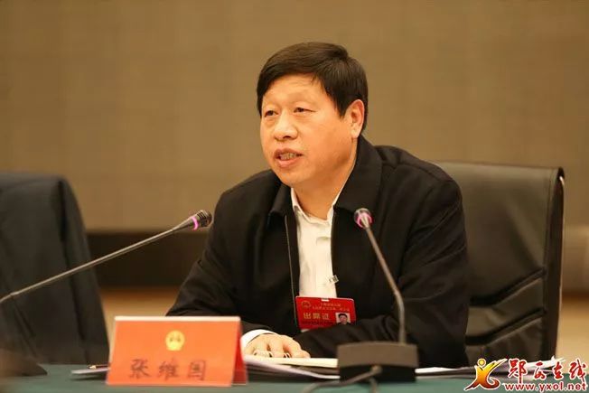 张维国参加郧西团讨论:乘势乘胜而上 以雄起促崛起