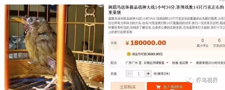 当年我们错过的画眉极品(图解)