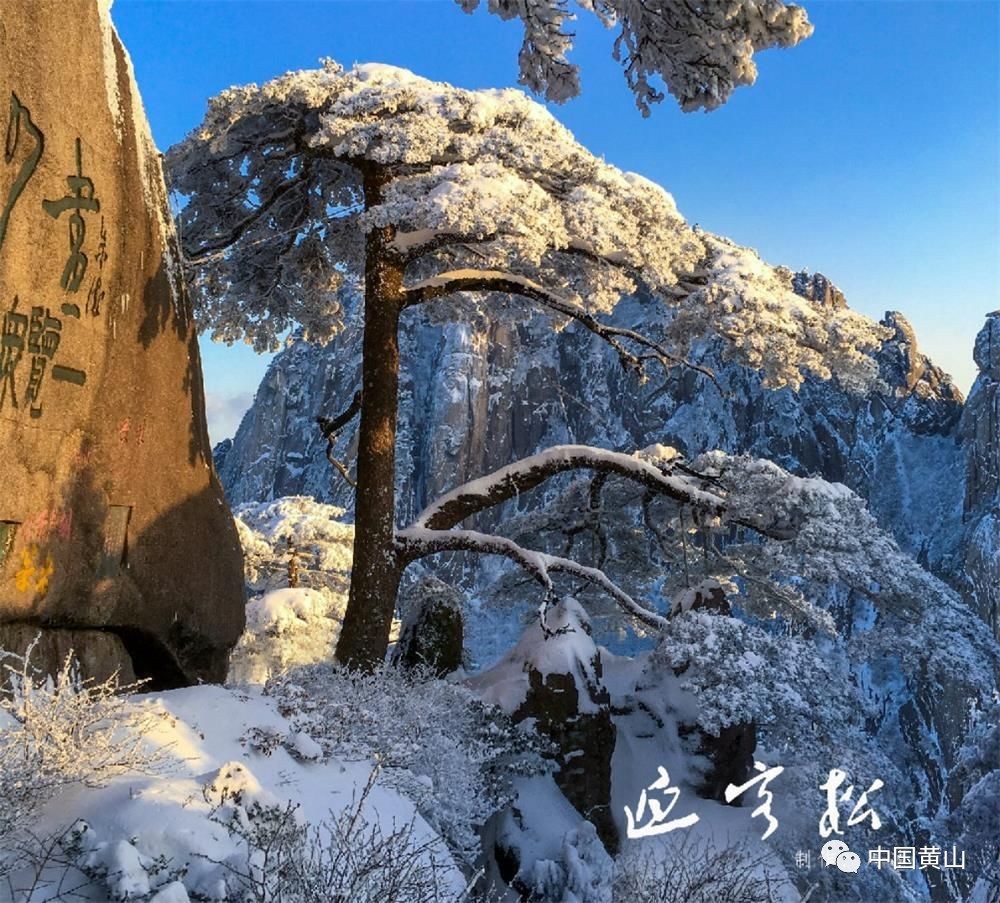 最美冬雪,与君共赏!(附黄山雪景航拍视频)