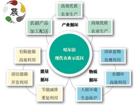 增效,增收,增绿,循环农业生态产业链的3大布局你了解