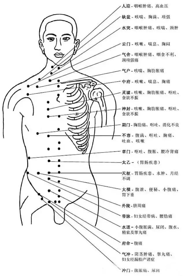 非常完整的人体穴位图与功效