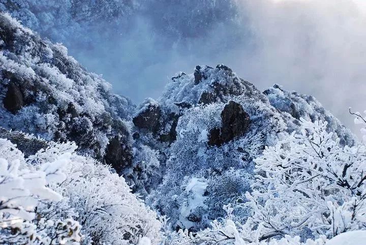 中国|一场薄雪,不成敬意.