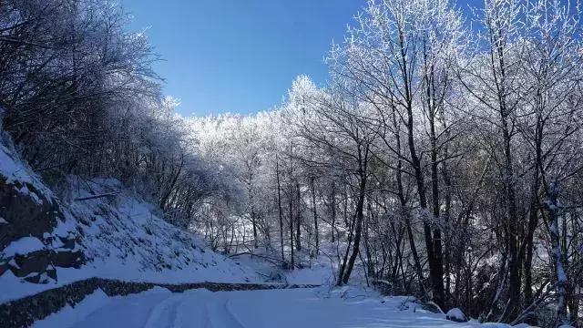 央视点赞光雾山雪景,您还坐得住吗?来巴中光雾山,雪战