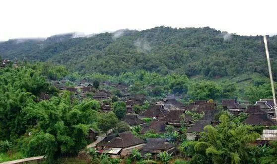 曼邦三队,位于我国云南省的西双版纳傣族自治区布朗山上的一个寨子.