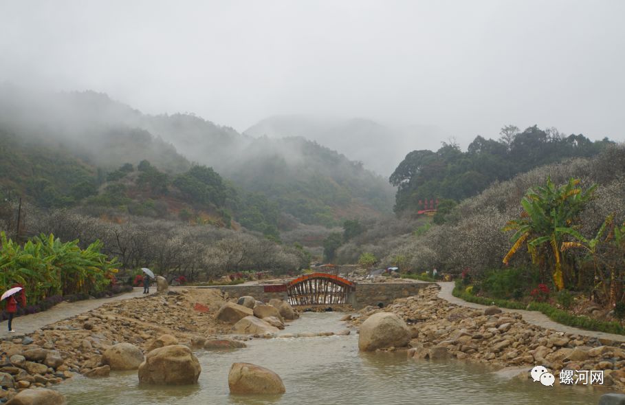 螺河网因为雨天陆河螺洞梅海已美成仙境