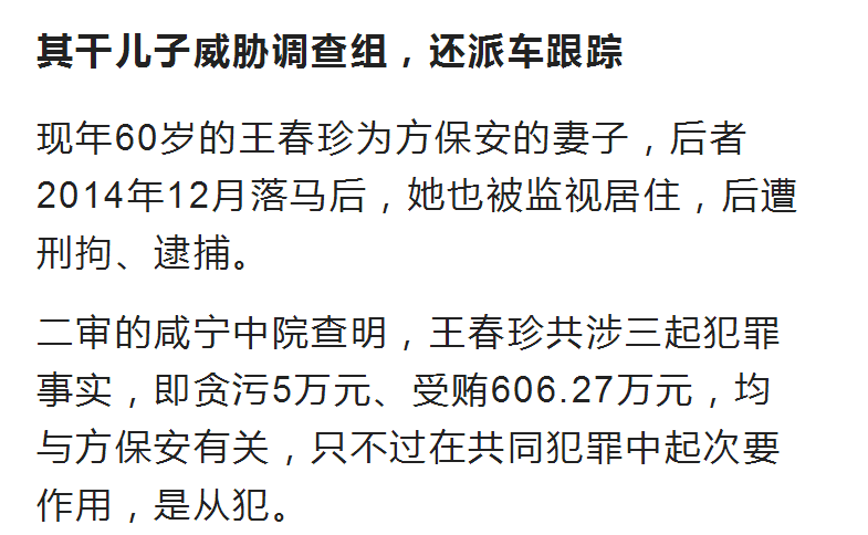 咸宁领导勾结黑社会,还认干儿子