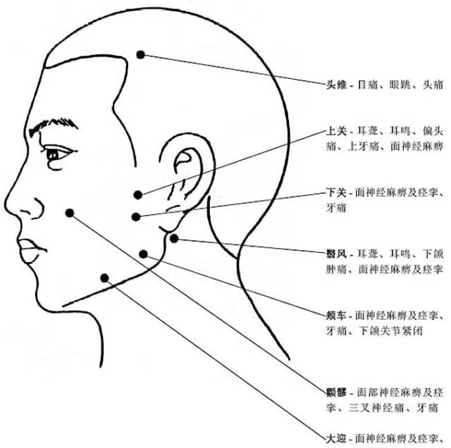 人体头部穴位图及作用功效