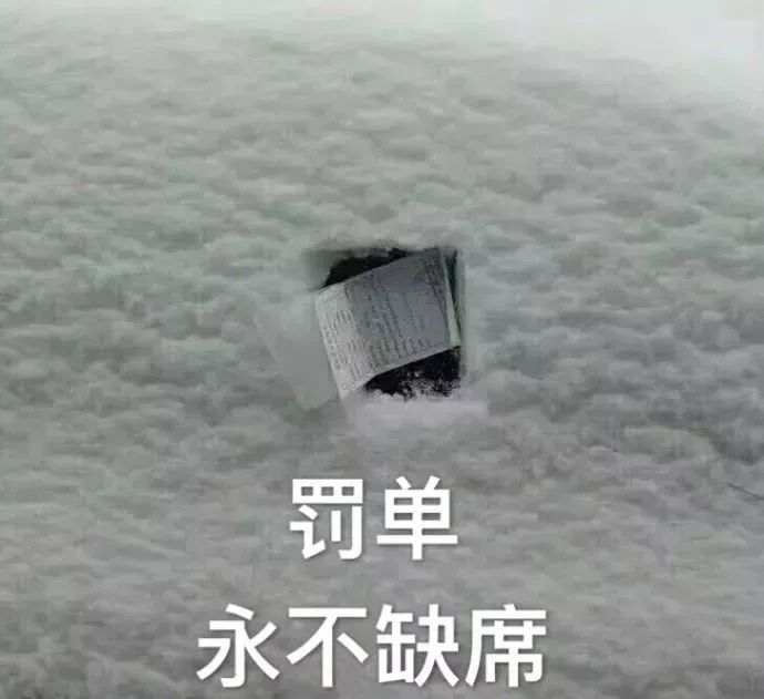 雪天罚单,最最冷的领悟