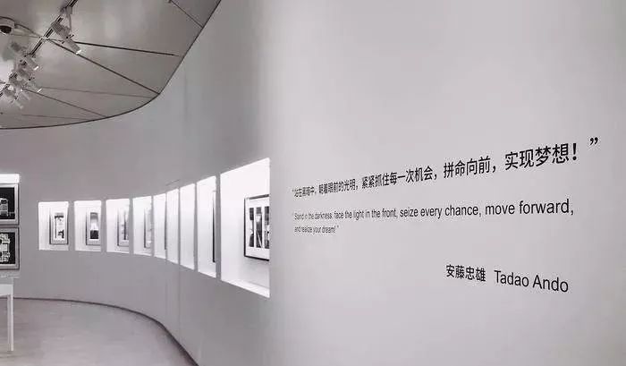 【福利】明珠美术馆开馆啦!首展"安藤忠雄展引领"