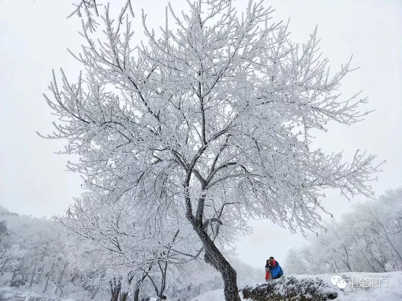 大雪后的荆门圣境山,看一眼,惊艳一年!