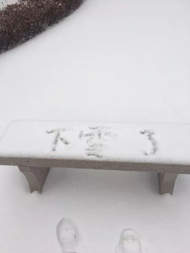 雪花飘飘,北风萧萧 天地一片苍茫 沈阳终于下雪了