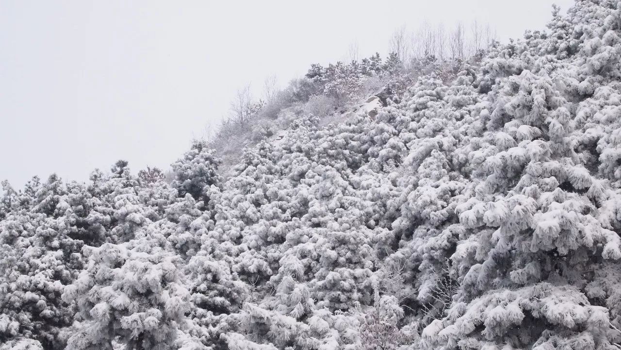 终南山雪