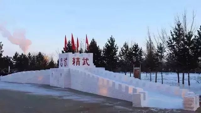 视觉你们堆的雪人都弱爆了来看兵哥哥的冰雕艺术