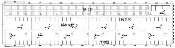 1000头基础能繁母猪智能化猪场栏舍设计方案