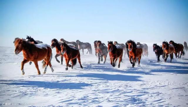 内蒙古12盟市雪景大pk你最喜欢哪儿的