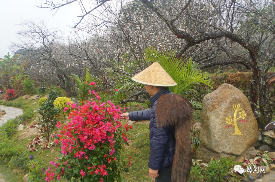 旅游 正文  陆河世外梅园景区位于青梅之乡——广东省汕尾市陆河