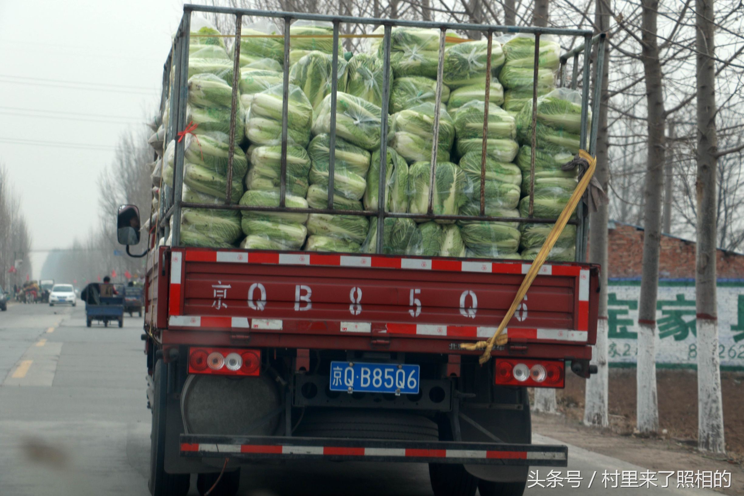 满满一车已经打包好的,老百姓为之付出汗水的新鲜白菜已经启程了.