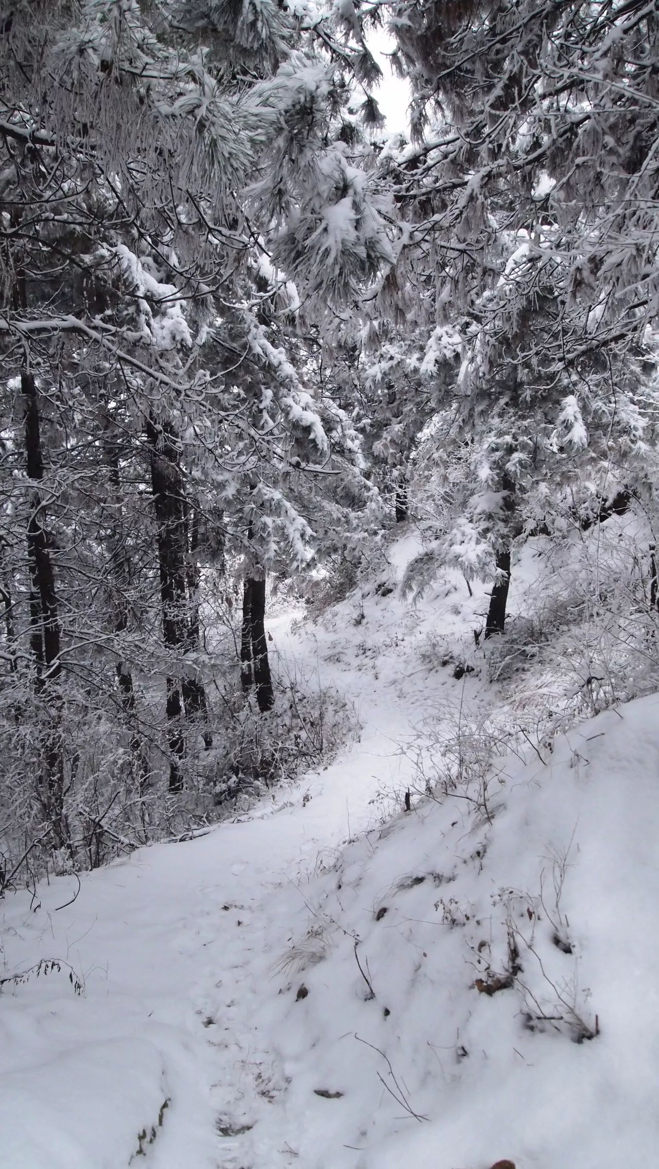 终南山雪