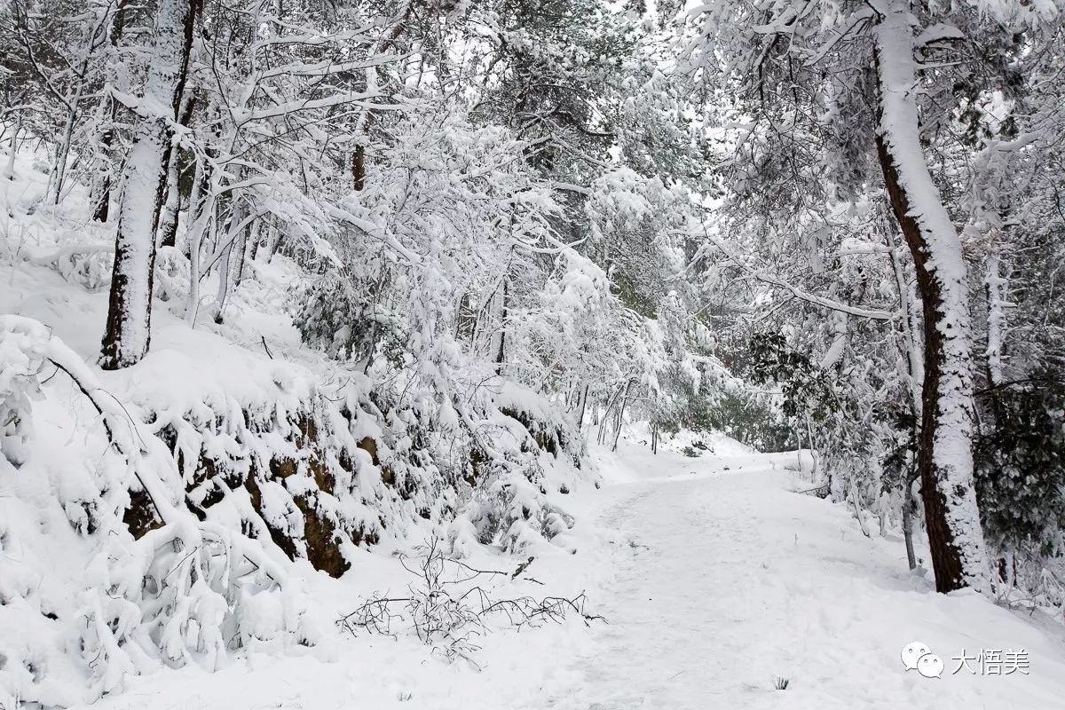 《乡雪》——最美不过家乡雪!