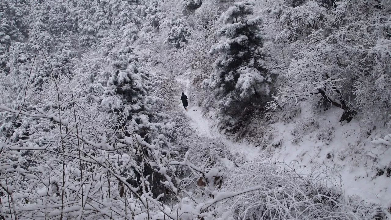 终南山雪