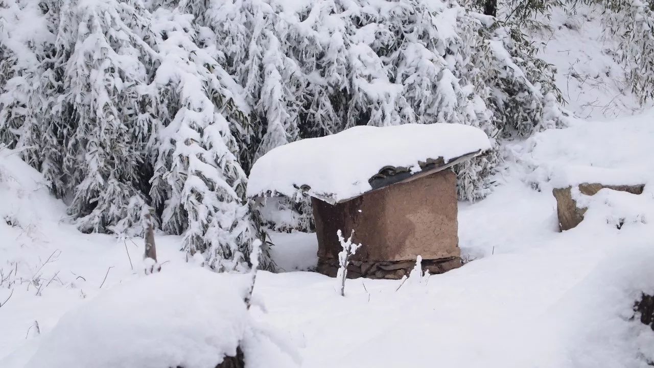 终南山雪