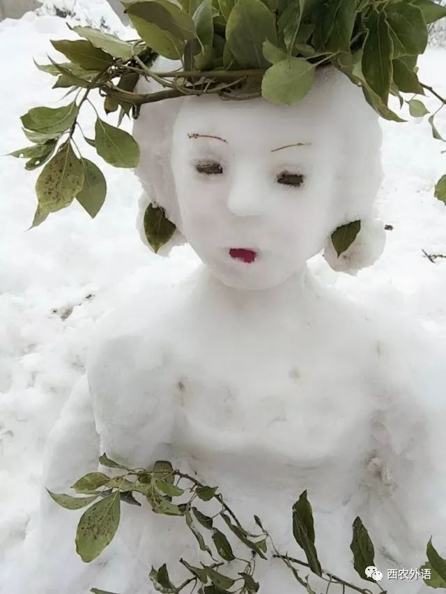 最美雪人哪家强