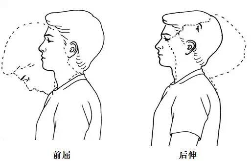 加强颈椎灵活度,颈部活动不再痛