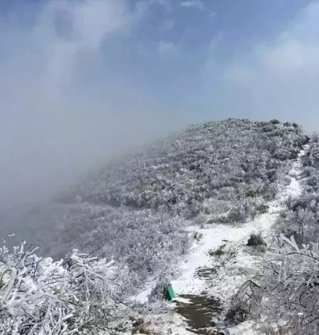 先上几张路为家户外俱乐部组织的新邵龙山观雾凇活动照片,看了之后