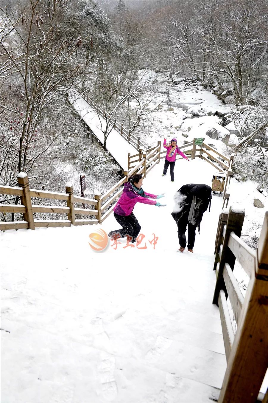 光雾山醉人雪景上央视如此美景你还坐得住