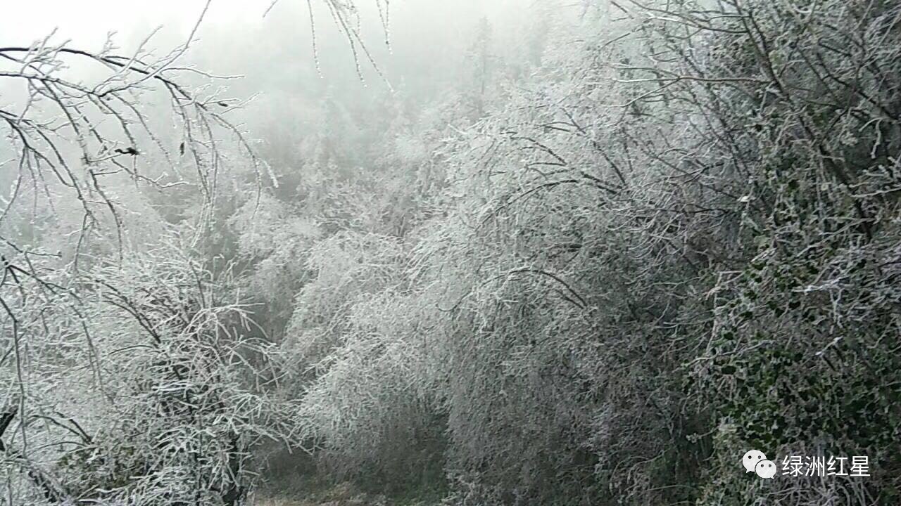 绥宁雨雪中,最美的风景是