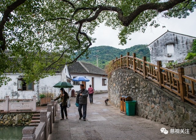 潘岙村,掌起任佳溪村,匡堰岗墩村和横河大山村列为发展民宿产业的试点