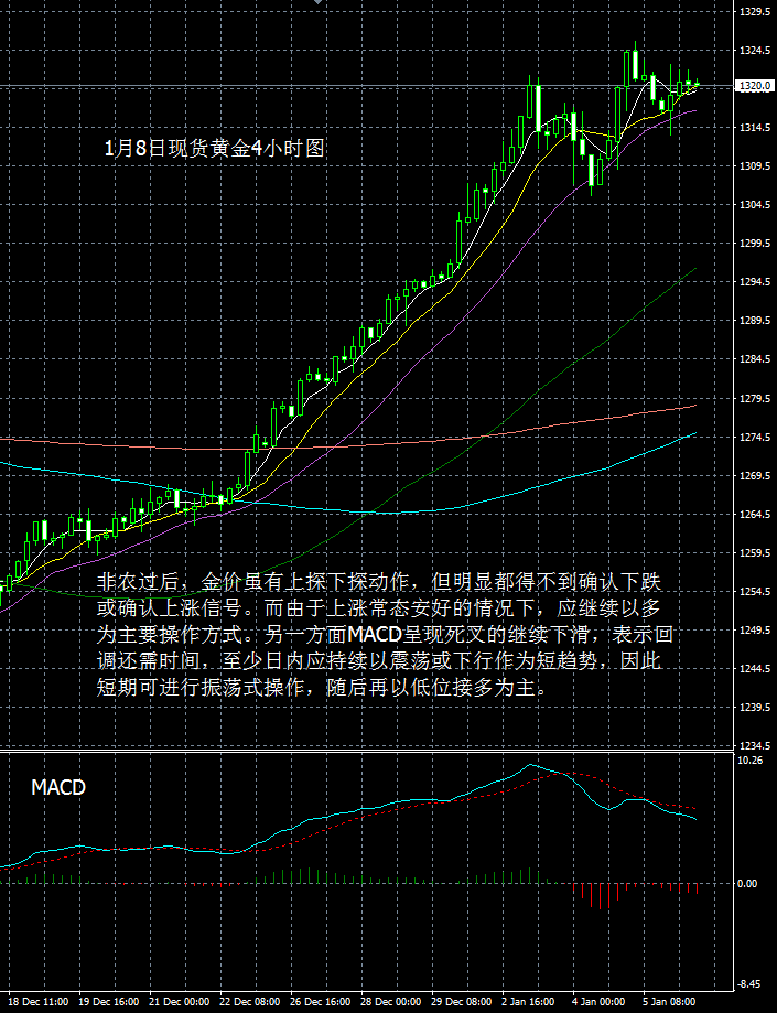 羊首领：1月8日每日黄金报