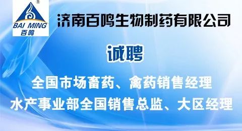 医药经理招聘_猎才医药网 专业的中国医药人才招聘网 最新医药招聘信息 医药英才网