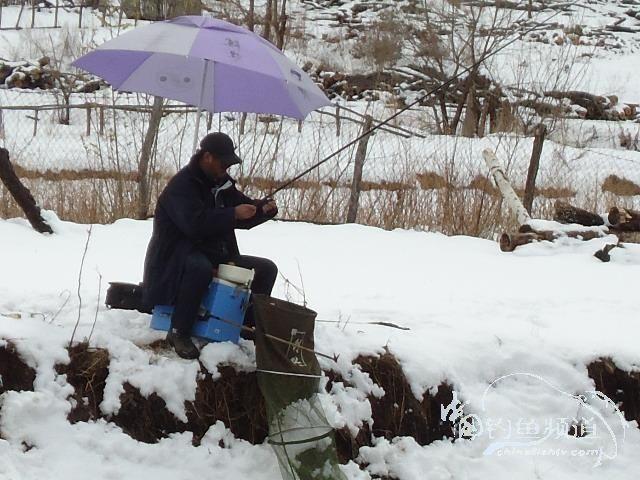 冬季下雪天可以钓鱼吗?下雪时鱼口会好吗?