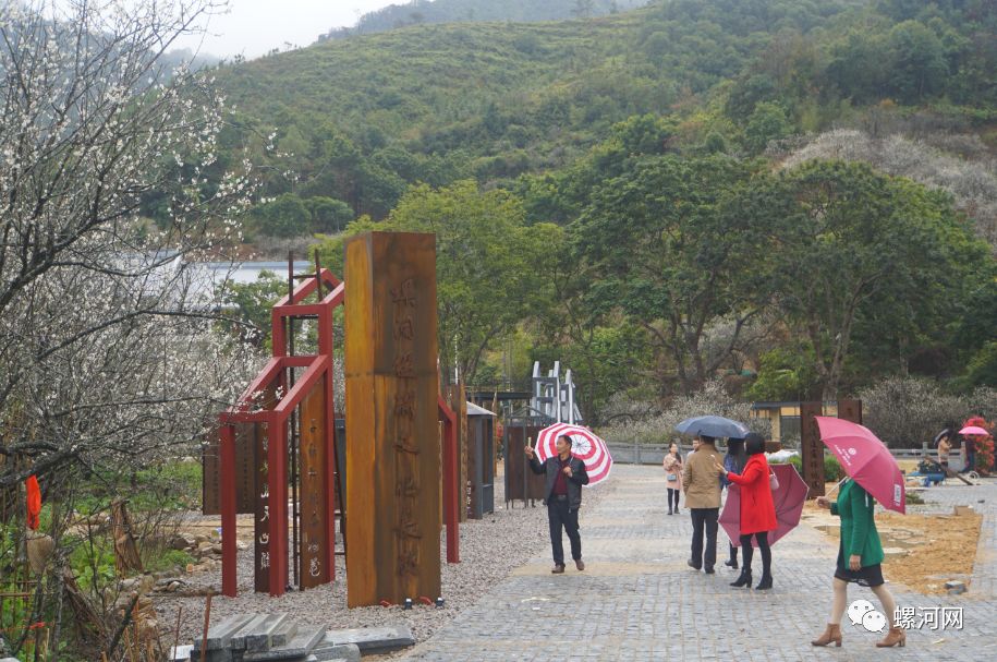 螺河网因为雨天陆河螺洞梅海已美成仙境