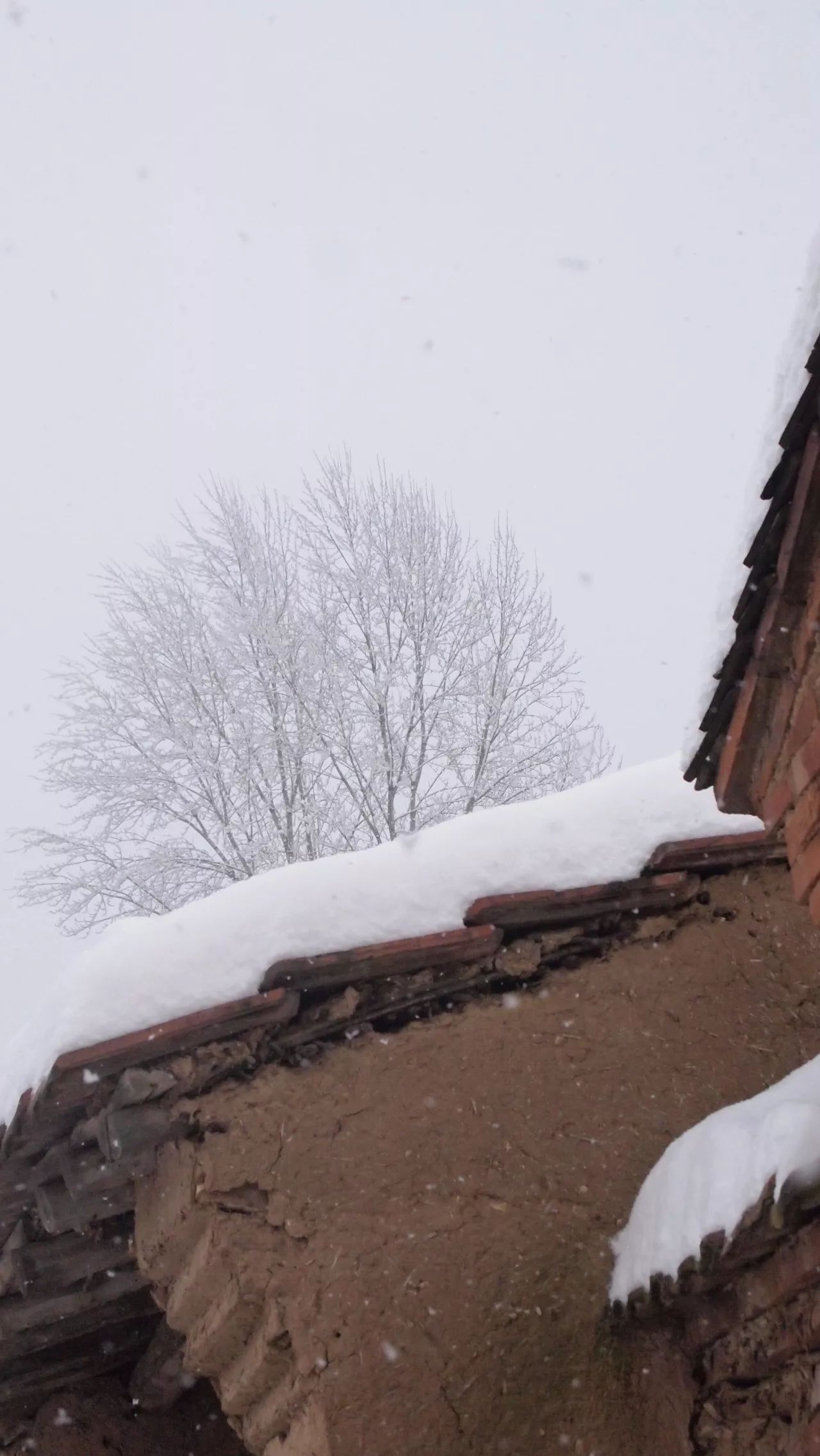 终南山雪